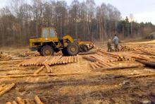 Manipulacja i zrębkowanie drewna