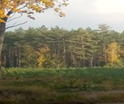 Zespół Składnic Lasów Państwowych w Siedlcach